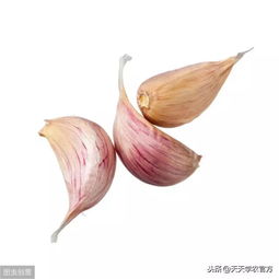 独头蒜种植的最佳时间是什么时候？需要掌握哪些技巧才能提高成活率