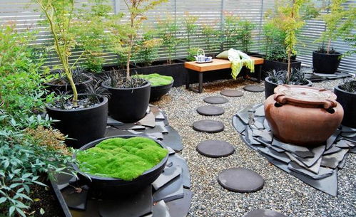 零下15℃的挑战：耐寒牧草的选择