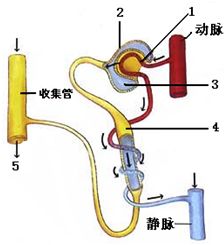 二、过滤除菌