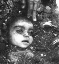 一、 悲剧的开端：博帕尔农药厂的诞生