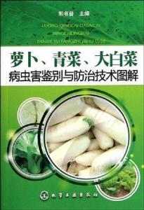 大白菜，农药残留量低的小秘密