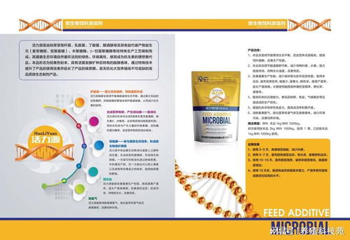 食品工业的好伙伴