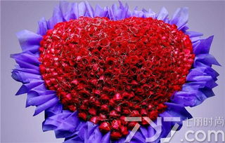 洛神玫瑰的情感传递