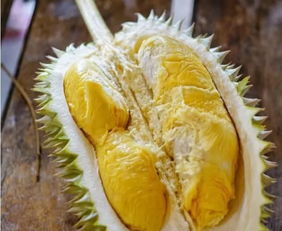 榴莲怎么种？芒果怎么种