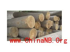 泡桐木材的价格行情