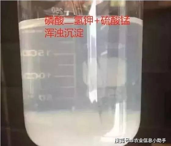 浸种不催芽，效果棒棒哒！