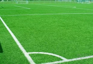 精细化的养护技术