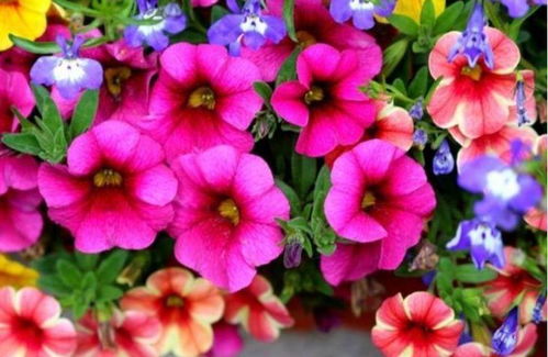 阳光与阴影的巧妙平衡