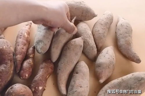 如何保存红薯梗长久不腐，有没有什么简单又实用的储存方法呢