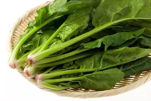 三、 菠菜，鲜嫩翠绿的生机