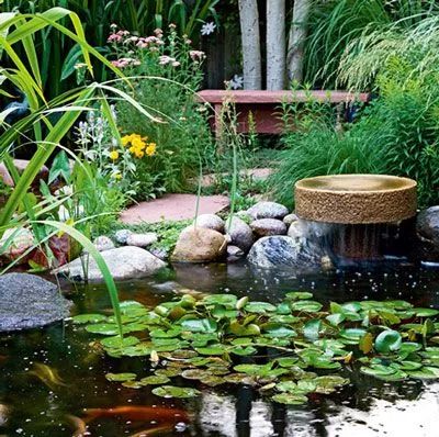 南方池塘植物与北方的差异