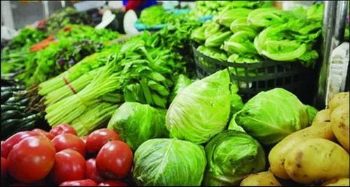 邢台特色绿色蔬菜