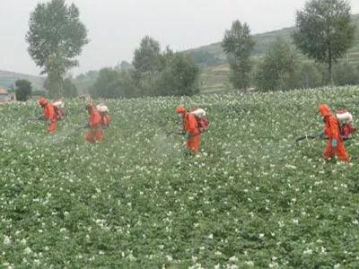 高温下农药效果反而差？