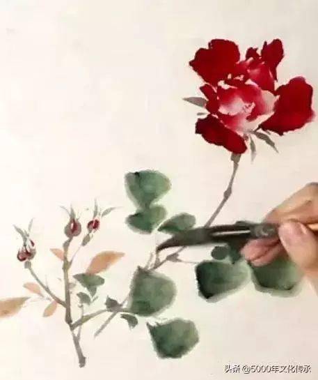 第一步：观察花朵