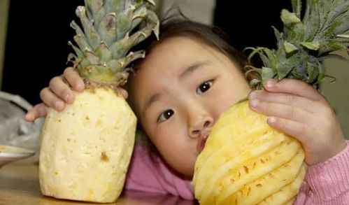 菠萝头能种出菠萝吗？别傻了