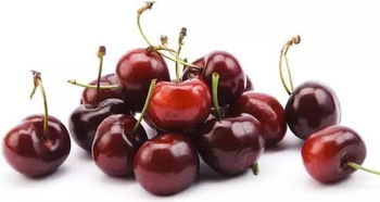 如何避开误区，提高出芽率呢？