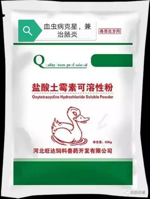 瑞普生物兽药种类繁多，新手养殖户如何挑选合适药物避免踩坑？