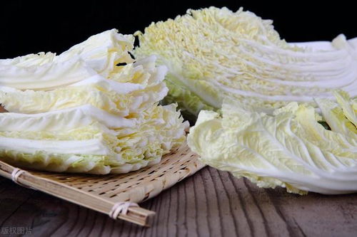 大白菜苗期病虫害有哪些防治措施？