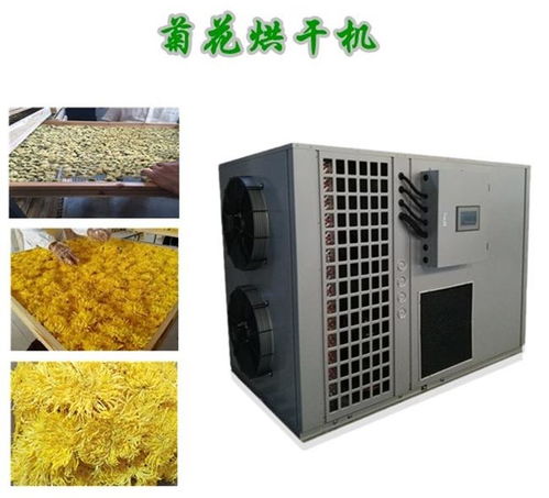 菊花烘干机价格几何？看这篇文章