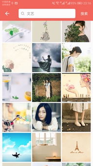 格桑花图片大全哪家强？搜图神器
