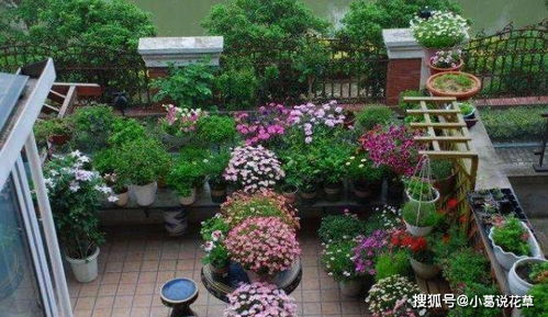 二、 打造四季花园的关键点