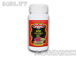 多菌灵拌种， 见效时间有讲究