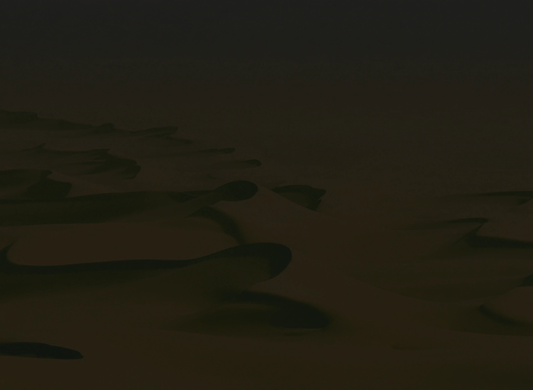 园林景观设计费，2023年的新鲜事儿