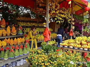 春节前两周，价格巅峰