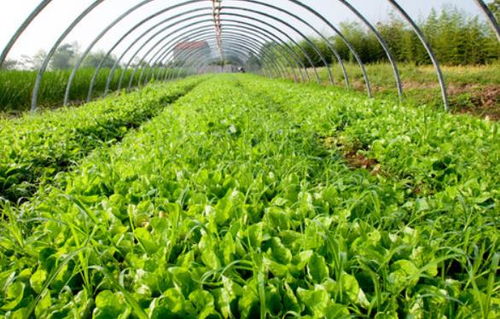 这些风险要了亲命