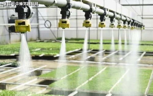 农业灌溉创新：高效工业热水循环系统解决方案提供商