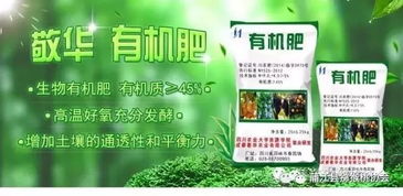 保定市第一中心2025年第七批进口医学装备采购项目招标公告