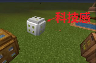 寻找自然与科技的交汇点：木质种类识别软件探秘