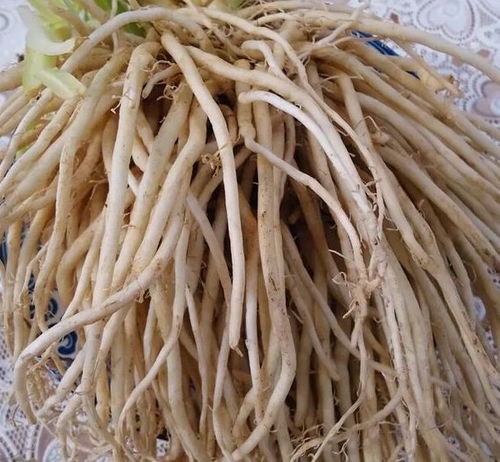 韭菜根的功效与作用有哪些？这些用法你一定要知道