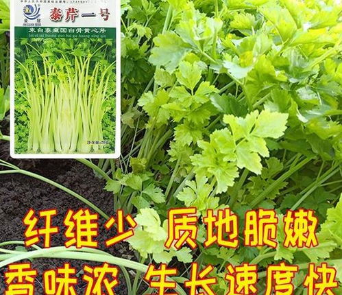 暴雨防护三步骤