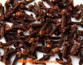 灵芝养殖：调节人体平衡， 增强抵抗力