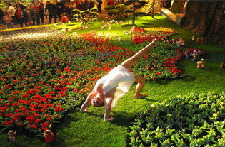 花卉：美丽与自然的交融