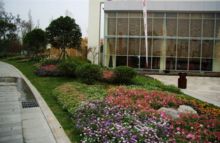 三、非季节种植乔木