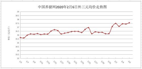 全国猪价走势图中，5组数据对比揭示哪些涨跌规律，新手如何预判最佳买卖时机？