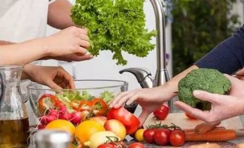 宠物杀虫剂在菜园的使用疑问