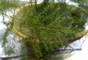 解决方法大揭秘