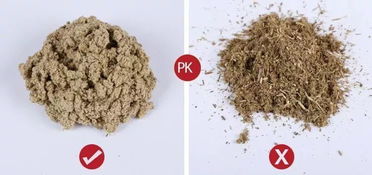 2. 选择适当的时间