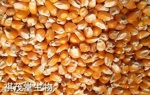 福州兴顺猪饲料闽侯价格分析报告，福建闽侯兴顺饲料市场动态如何？