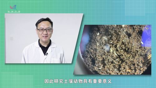 科学管理，玫瑰盛开不是梦