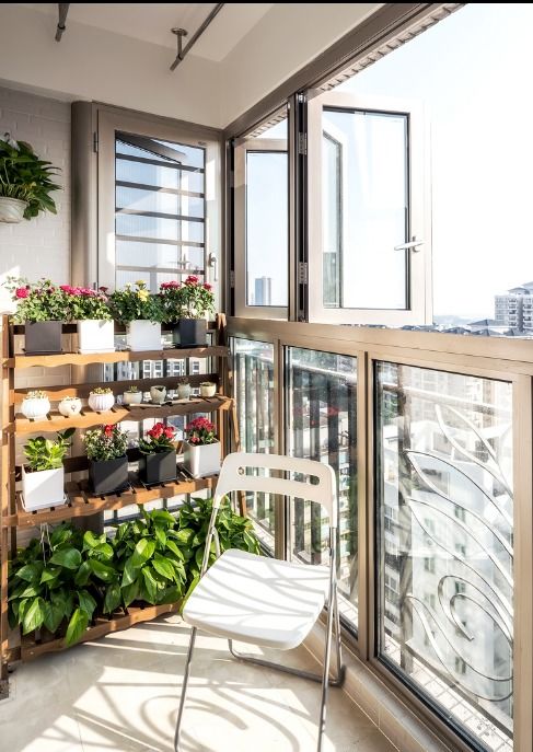 选择植物， 讲究耐阴