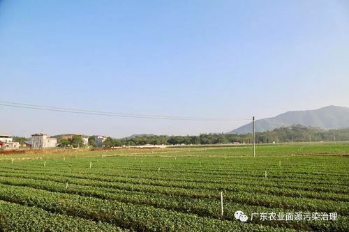 高效低毒农药品种推荐