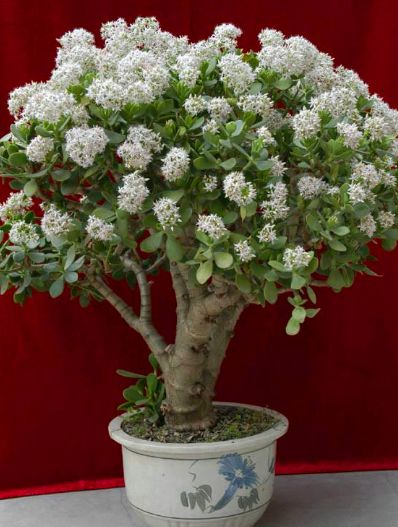 废物利用， 省钱又环保