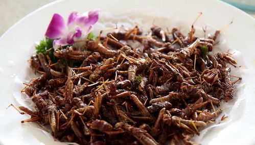 救命技巧：堪清楚