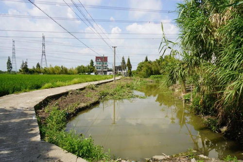 水中的“守护神”