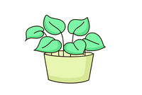 绿植简笔画：表现植物的生机与姿态
