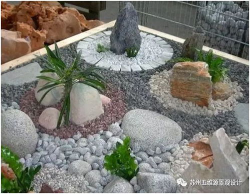 花草培育石头，如何巧妙放置才能让石头绽放生机